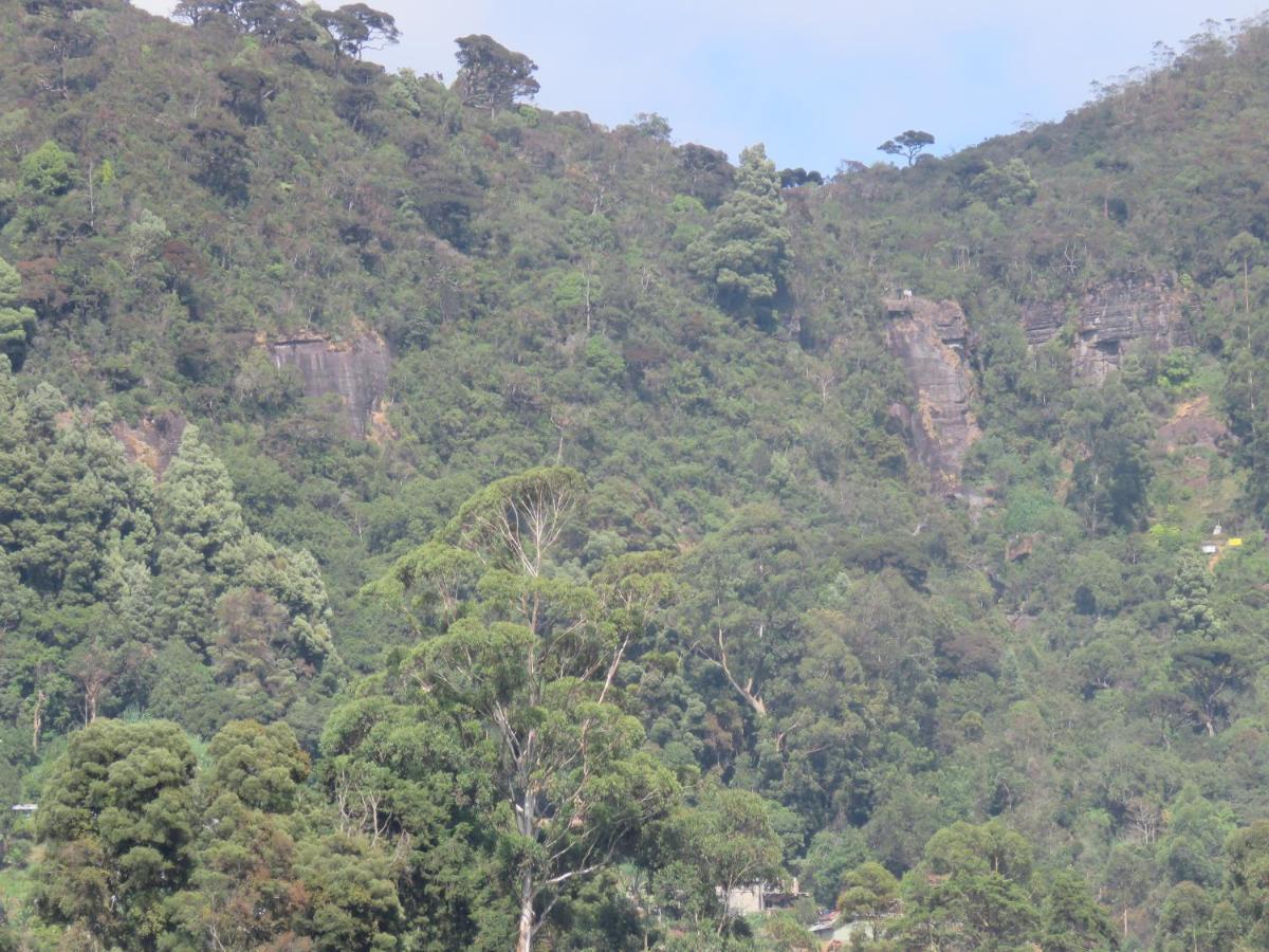 Dream Hill Homestay Nuwara Eliya Exterior photo